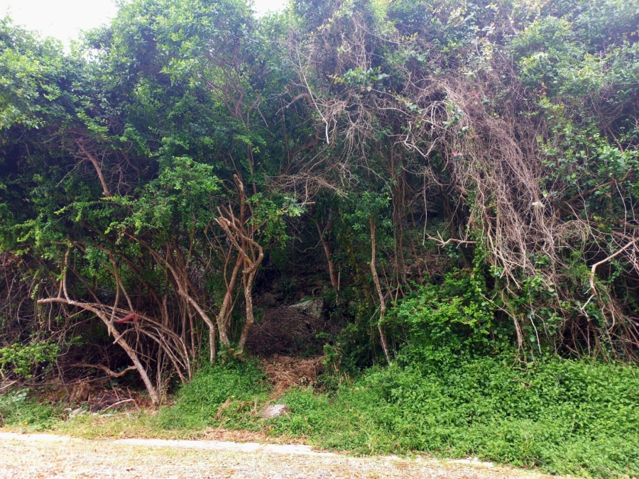 0 Bedroom Property for Sale in Wilderness Central Western Cape